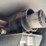 2012-wacker-neuson-g25-image-26