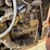 bobcat-863-image-30
