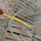 ear-corn-tunnels-image-9