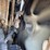 wacker-neuson-wl32-image-51