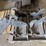 bobcat-skidsteer-adapter/coupler-assembly-image-1