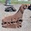 concrete-pulverizer-image-6
