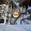 2018-kubota-rtv-x-image-29