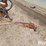 3-bottom-plow-image-9