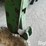quick-hitch-3-pt-cat-2-hitch-image-9