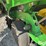 2009-john-deere-1760-image-15