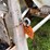 wilmar-pull-type-dry-fert.-spreader-image-1