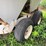 wilmar-pull-type-dry-fert.-spreader-image-5