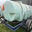 poly-nurse-tank-image-10