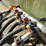 manifold-image-4