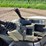 bobcat-e26-image-25
