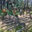 john-deere-2310-image-8