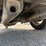 #47186-•-2007-honda-goldwing-gl1800-motorcycle-w/roadsmith-trike-kit-1hfsc47f87a600390-inv#47186-image-13