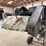 convey-all-belt-conveyor-image-7