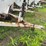 wilmar-pull-type-dry-fert.-spreader-image-10