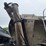 2001-cei-pacer-bulk-body-trailer-image-16