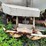 wilmar-pull-type-dry-fert.-spreader-image-8