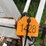 wilmar-pull-type-dry-fert.-spreader-image-2