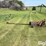 international-1100-image-2