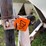 wilmar-pull-type-dry-fert.-spreader-image-2