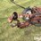 international-1100-image-9