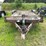 flatbed-bumper-trailer-image-2