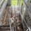 #2150-•-2017-barrett-53'-cattle-semi-trailer-image-45