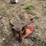 #1766-•-approx-24"-excavator-ripper-tooth-image-3
