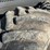 ponsse-buffalo-image-67