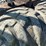 ponsse-buffalo-image-60