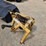 vermeer-5030-image-14