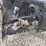 #5051-•-2021-polaris-pro-xd-4x4-utv-image-32