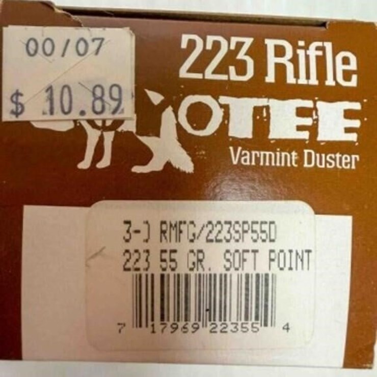.223 ammo