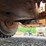 1986-caterpillar-980c-image-51