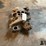 1972-ford-429-police-interceptor-intake-manifold-image-6