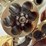 smith-&-wesson-revolver-image-8