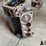 ford-australian-302-cleveland-black-short-block-image-12