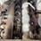 1990-ford-f800-image-42