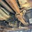 2001-ford-f450-image-39