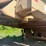 #1320-•-kpi-jci-wash-plant-image-10