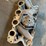 ford-429-super-cobra-jet-intake-manifold-image-12