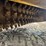 #1251-•-2016-bomag-rs5000-soil-stabilizer-/-recycler-image-85