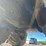 ponsse-buffalo-image-52