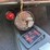 #60044-•-1968-ford-ranchero-image-47