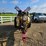 hardi-500-image-49