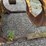 #4005-•-loader-grapple-forks-image-6