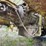#1356-•-euclid-spotter-truck-image-30