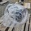 #6169-•-unused-paladin-industrial-pld-twp80-semi-trash-water-pump-image-2