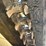 caterpillar-299d3-xe-image-62