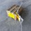 schneider-electric-6-pole-lighting-contractor-image-1